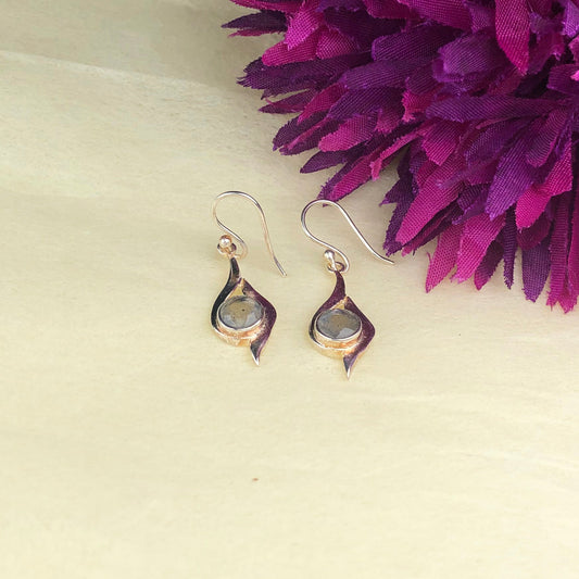 Wonderful Blue Labradorite Earrings Made of Brass Silver Polished Danglers