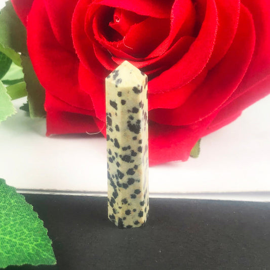 Beautiful Dalmatian Jasper Crystal Point