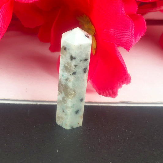 Pleasing Dalmatian Jaspre Crystal Point